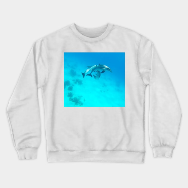 Dolphins Crewneck Sweatshirt by Kate-P-